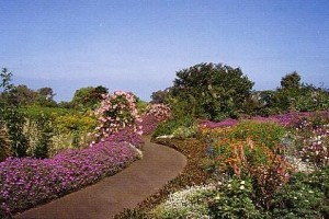 Enchanting Floral Gardens of Kula